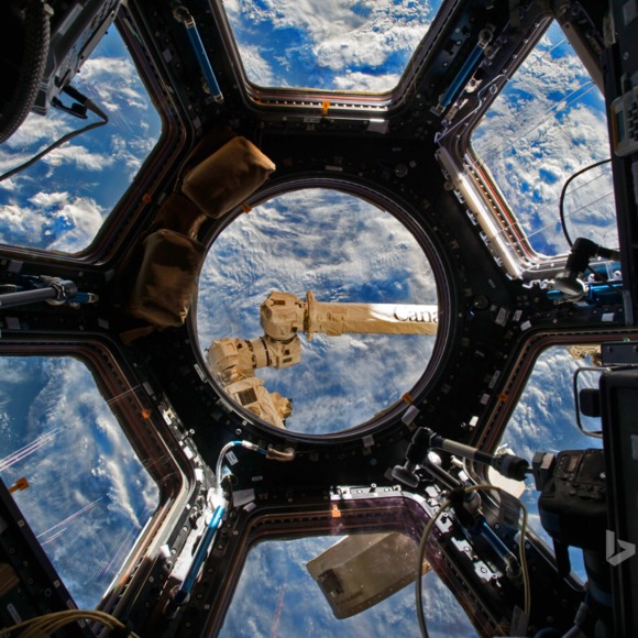 Profile Picture of Denitsa Kurteva (@cheeseis2good) on Poshmark