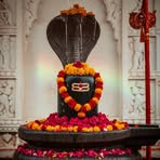 Profile Picture of Rohit Sheth (@Rohit-Sheth) on Facebook