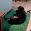 Profile Picture of paulmillikan (@paulmillikan) on Tiktok