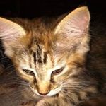 Profile Picture of julianna cole reid (@juliannacolereid) on Instagram