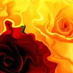 Profile Picture of Komali Kandlakunta (@komalikandlakunta) on Instagram