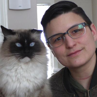 Profile Picture of Chris (@CodingCyclist) on Twitter