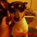 Profile Picture of Franz Wright (@franz.wright.5) on Facebook