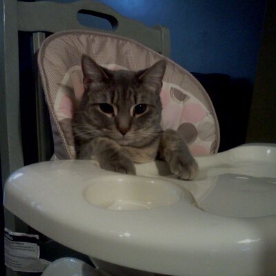 James Tyree - Twitter Profile Picture of James Tyree (@tyree_j_e) on Twitter