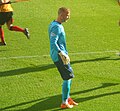 Profile Picture of Scott Foxon Wikipedia