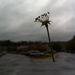 Profile Picture of Gabriel Hughes (@onkou) on Instagram