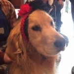 Profile Picture of Glenn Griffin (@weirdascanbe) on Instagram