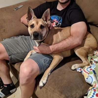 Profile Picture of Joseph Blommel (@JosephBlommel) on Twitter