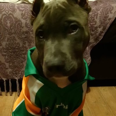 Profile Picture of Erin Go Bragh Camogie Birmingham (@go_camogie) on Twitter