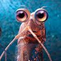 Profile Picture of Keith Pickering (@keith-pickering-14) on Quora