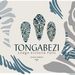 Profile Picture of Tongabezi Safari Lodge (@tongabezilodge) on Pinterest