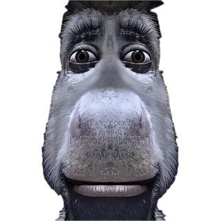 Profile Picture of Lcarmichael_ (@lcarmichael_) on Tiktok