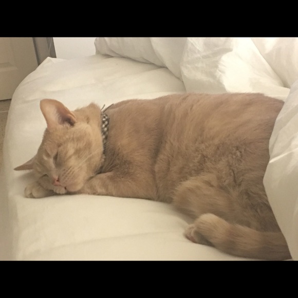 Profile Picture of Victoria Smarsh (@vsmarsh1) on Poshmark