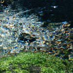 Profile Picture of Bob_Gilbert (@bob_gilbertx) on Instagram