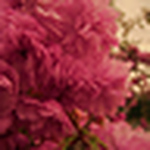 Profile Picture of Josh Ball (@deepfriedfat) on Flickr