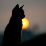 Profile Picture of james__sawyer (@james__sawyer) on Instagram