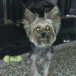 Profile Picture of Jim Lance (@jimlance7156) on Instagram