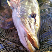 Profile Picture of Andrew Gibbs (@ajgelec) on Youtube