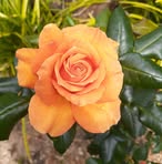 Profile Picture of Phyllis Booth (@phyllis.booth.921) on Facebook