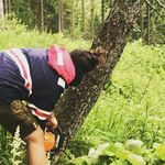 Profile Picture of Daniel Schwab (@schewabinger) on Instagram