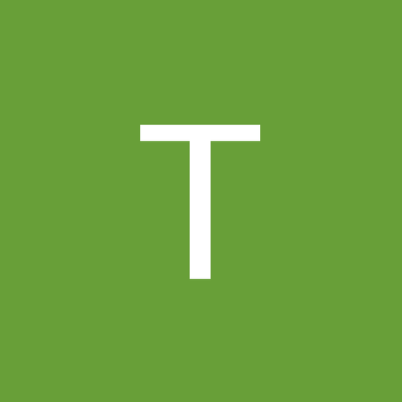 Profile Picture of Tung Do (@tunhdo1) on Poshmark