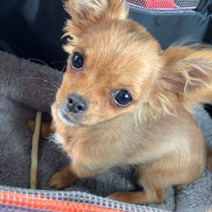 Thomas Schiller - Tiktok Profile Picture of Thomas Schiller (@thomasschiller5) on Tiktok