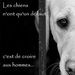 Profile Picture of Maude Rick (@mauderick) on Pinterest