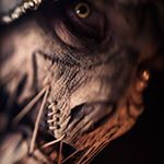 Profile Picture of Lawrence Edwards (@lawrence.j.edwards) on Instagram