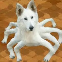 Profile Picture of Isaac Blankenship (@isaac-blankenship-3) on Quora
