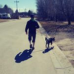 stacey (sheldon) - Instagram Profile Picture of stacey (sheldon) (@stacey.og) on Instagram