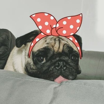 Profile Picture of ShanLin (@ShanLin02595098) on Twitter