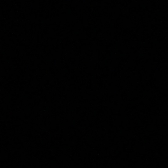 Profile Picture of Christopher Diguilio (@swagking20000) on Poshmark