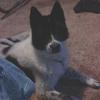 Profile Picture of Margo Lambert646 (@margolambert646) on Tiktok