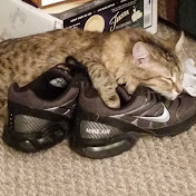 Profile Picture of Jason Flesher (@jasonflesher3985) on Youtube