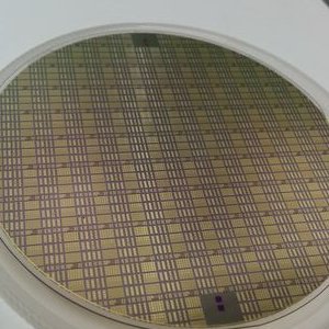 Profile Picture of Craig Storey (@xcstorey) on Twitter