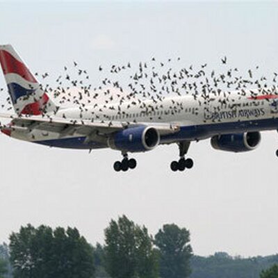 Stephen Broadbent - Twitter Profile Picture of Stephen Broadbent (@Herkamer13) on Twitter