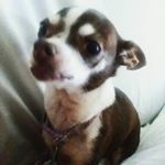 Profile Picture of Jerry Hale (@jerry.hale.142687) on Instagram