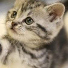 Profile Picture of エリク (@erik_nao18) on Twitter