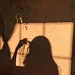 Profile Picture of avery campbell (@averyarianne) on Instagram