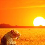 Profile Picture of beatriz cano (@beatriz.cano1029) on Instagram