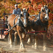 Profile Picture of Fruit Ridge Hayrides Nancy Briggs (@drafthorses2000) on Youtube