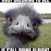 Profile Picture of Kevin Goudie (@kevin.goudie.528) on Facebook