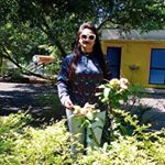 Profile Picture of Sheela Patel (@sheela_patel33) on Instagram