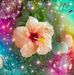 Profile Picture of Shirley Waldron (@shirley.waldron.75) on Facebook