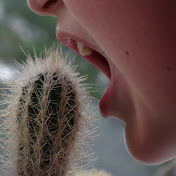 Profile Picture of Cameron Schultz (@cameronschultz8483) on Youtube