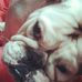Profile Picture of Sugar Howard (@sugar.howard.90) on Facebook