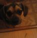 Profile Picture of Jesse Messer (@jesse.messer.927) on Facebook