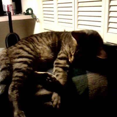 Profile Picture of Ken Repp Jr (@choassyugi) on Twitter