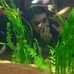Profile Picture of Stephen Hooke (@stephen.hooke.3) on Facebook