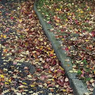 Profile Picture of Alicia Giles Plumb (Alicia Giles) (@alicia.g.plumb) on Facebook